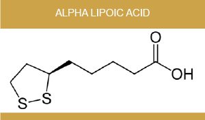 alpha lipoic acid