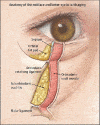 Dark circles under eye treatment