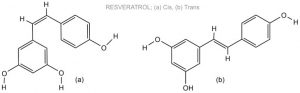 Resveratrol molecular structure