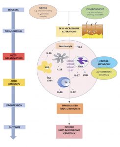 Hidradenitis suppurative may be considered in differential diagnosis of cystic acne