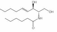 Ceramides