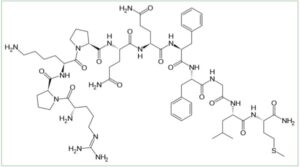 Substance P molecular structure